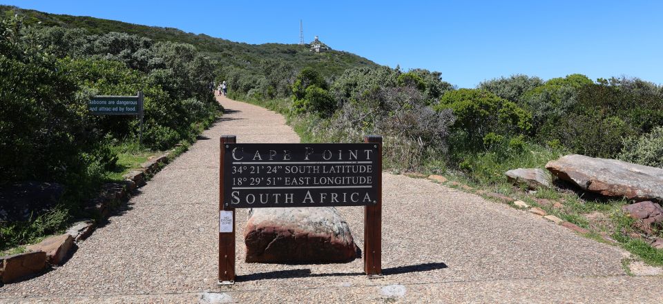 Cape Town: Tour Cape Point & Boulders Beach Penguin Day Trip - Boulders Beach Penguins