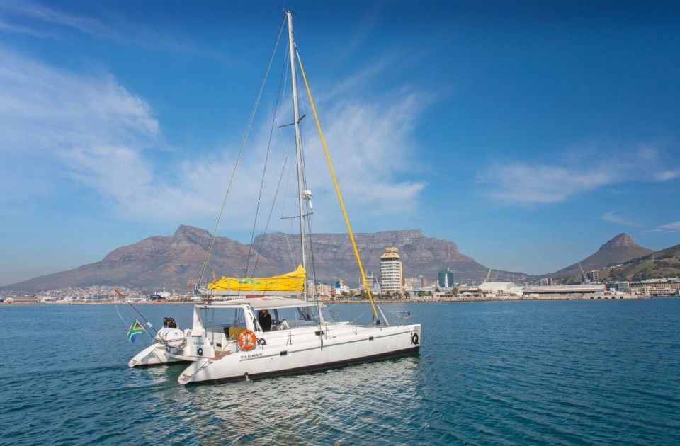 Cape Town: V&A Waterfront Champagne Cruise - Customer Reviews