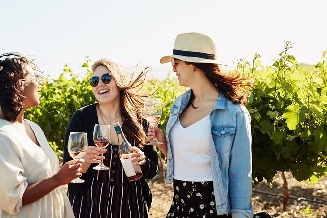 Cape Winelands Explore Full Day Tour With Private Transfer