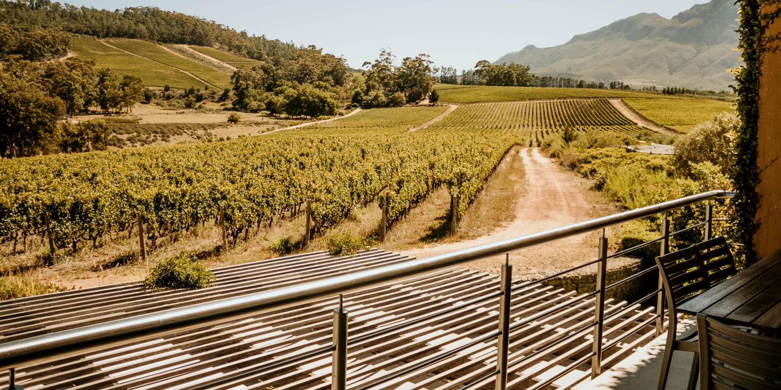 Cape Winelands: Private Full Day Tour - Frequently Asked Questions