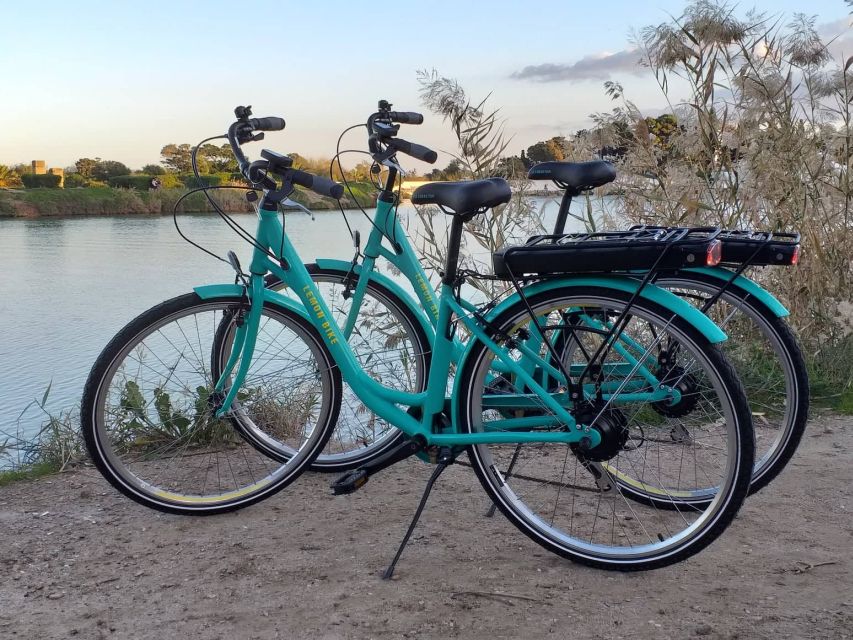 Carthage: Guided Bike Tour of the Archaeological Site - Scenic Cycling Along the Mediterranean