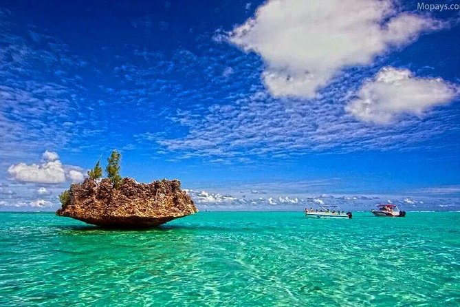Catamaran Cruise to Ile Aux Bénitiers: Dolphin Watch, Crystal Rock & Transfer - Dolphin Watching Adventure