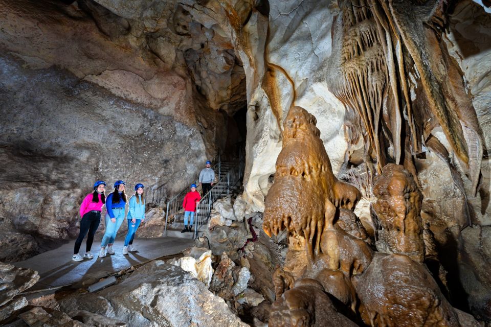 Cave of the Port and Rafting in Almadenes With 3 Caves - Discovering Local Flora and Fauna