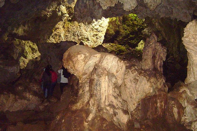 Central Jungle 4 Days and 3 Nights - Daily Itinerary