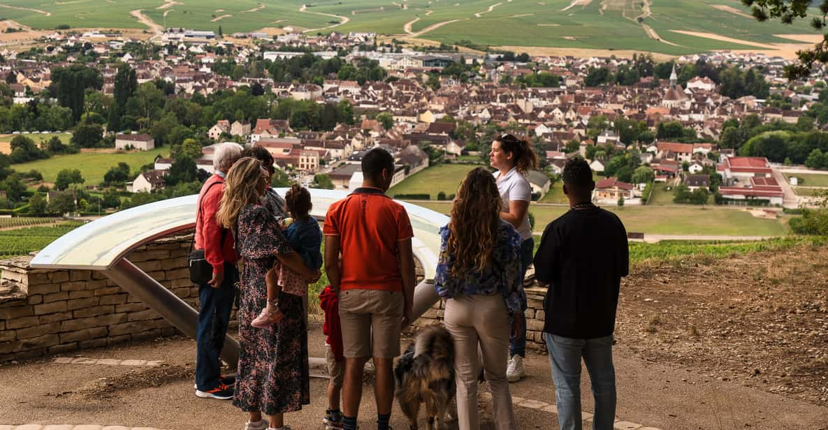 Chablis: Visit of the Grand Cru Vineyard - Knowledgeable Guides and Tasting Environment