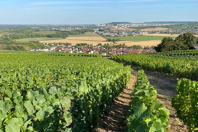 Champagne Cellars & Vineyards Tour From Reims Full Day - Reims Cathedral and Dom Perignon