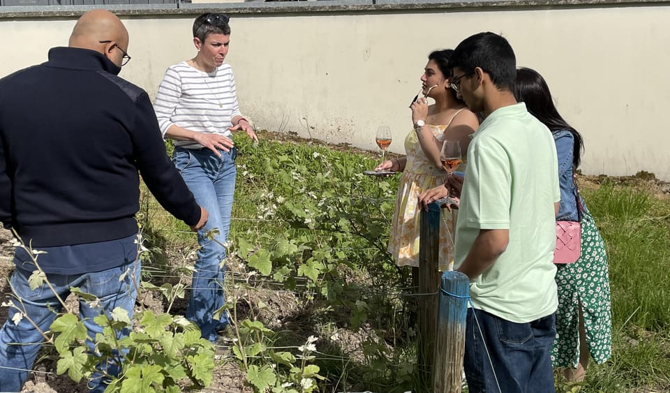 Champagne Munoz Bruneau : Half Day Visit and Tasting - Scenic Views and Vineyards