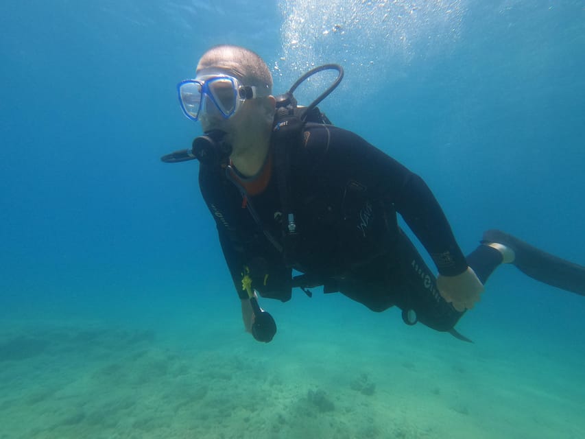 Chania : Try Scuba for Beginners-Boat Dive - Pricing and Booking