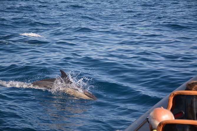 Cheapest Family Friendly Boat Trip From Vilamoura Algarve - Traveler Photos and Experiences