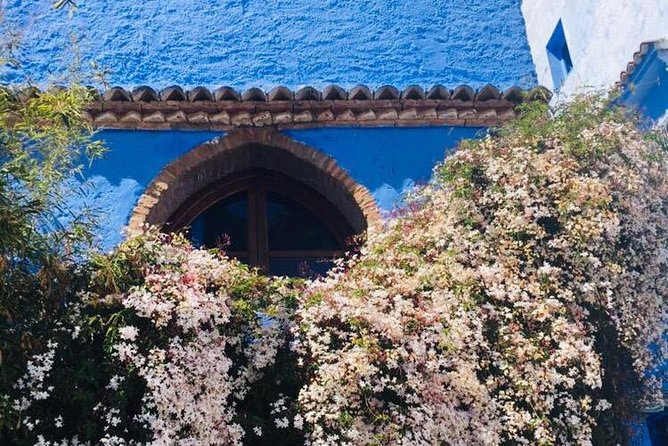 Chefchaouen Private Day Trip From Fez - Pricing Information