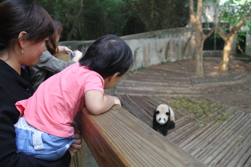 Chengdu: Private Panda Base Tour With 80 Pandas - Exploring Chengdus Landmarks