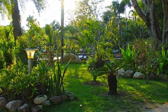 Chiang Mai Muay Thai Boxing Experience - Tips for Participants