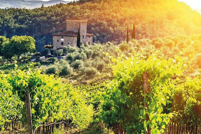 Chianti and Castle Small Group Tour From San Gimignano - Charming Town Stops
