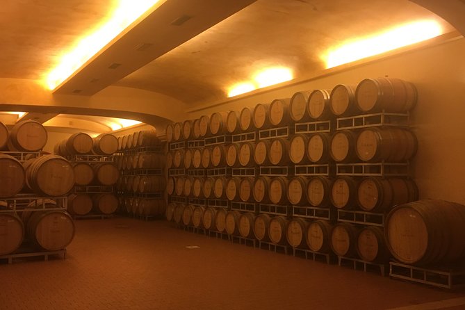 Chianti Classico E-Bike Tour - Exploring Chiantis Landscape