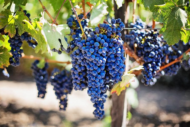 Chisinau City Tour - Cricova Winery - Since You Asked