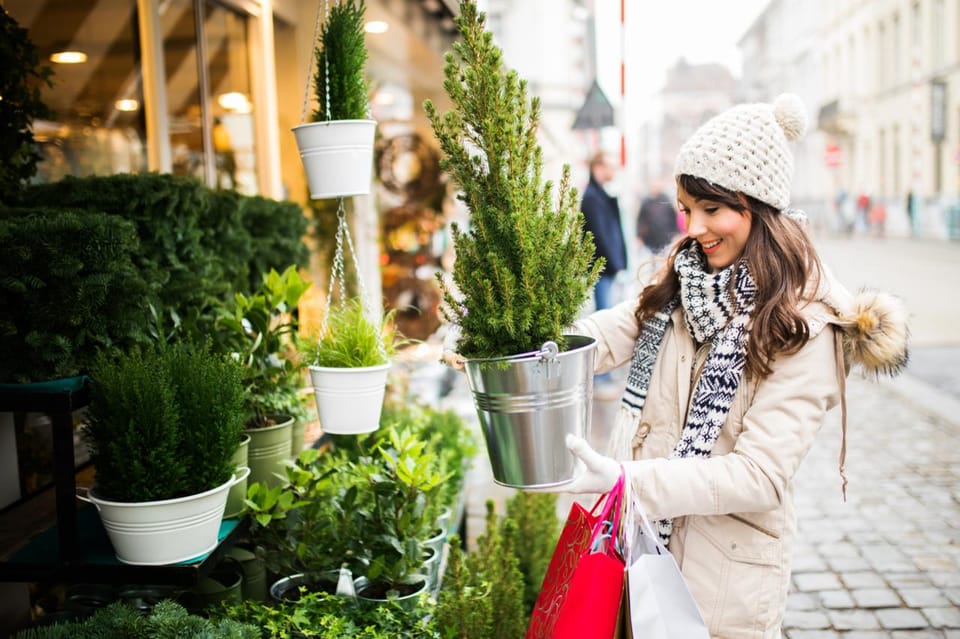 Christmas Experience in Ghent – Walking Tour - Tips for Participants