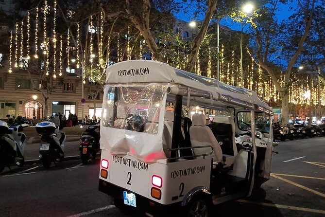 Christmas Lights Tour of Barcelona in Private Eco Tuk Tuk - Accessibility and Safety Considerations