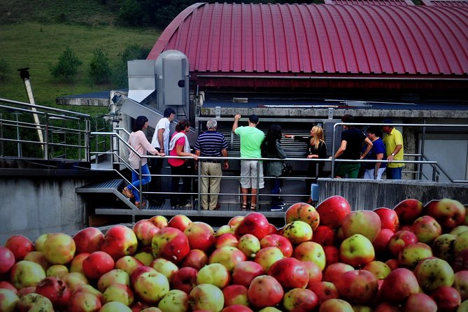 Cider House Experience From San Sebastian - What to Expect on the Tour
