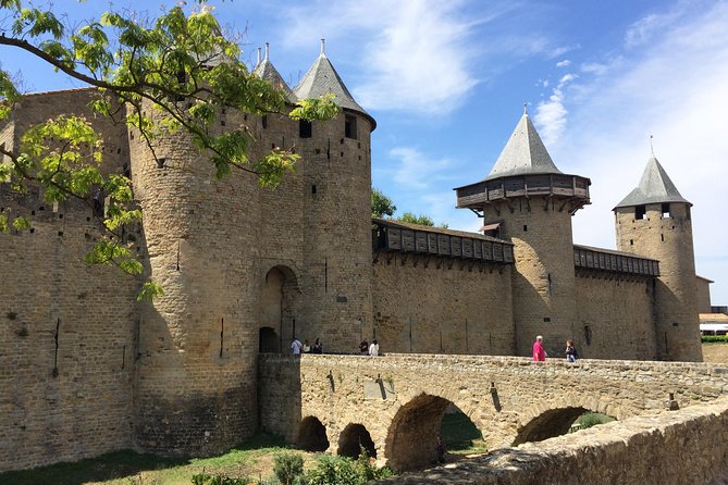 Cité De Carcassonne and Wine Tasting Private Day Tour From Toulouse - Participant Feedback and Reviews
