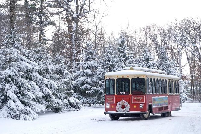 City and History Trolley Tour in Wisconsin Dells - Exploring Downtown Dells