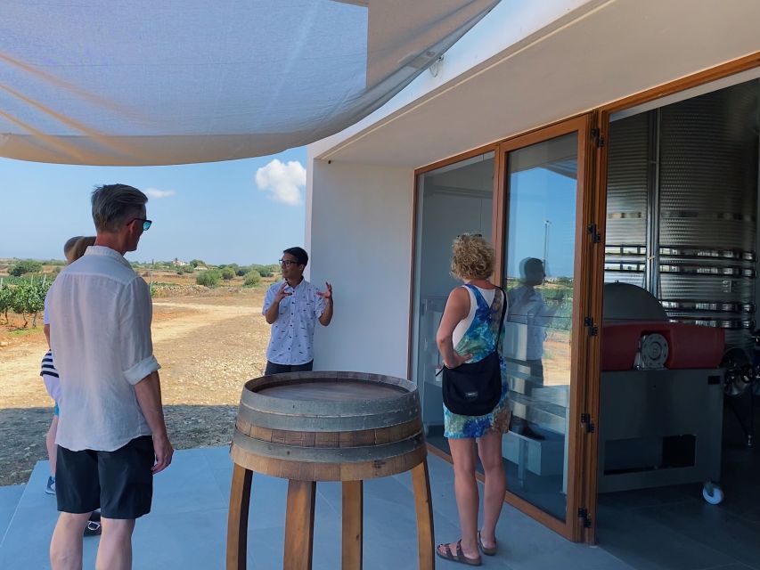 Ciutadella De Menorca: Family Winery Tour With Wine Tasting - Tasting and Culinary Offerings