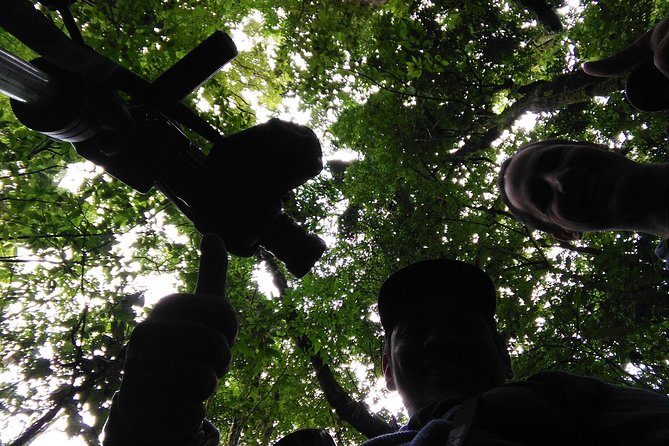 Cloud Forest Hanging Bridges With a Local Naturalist Tour Guide - Naturalist Guides Expertise