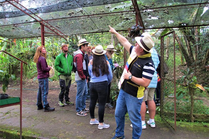 Coffee Plantation Tour From Bogota - Customer Reviews