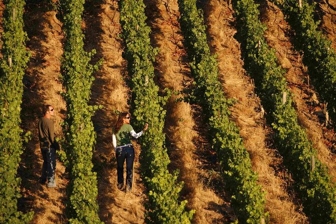 Colchagua Valley Winery Day Trip From Santiago - Tour Policies and Information