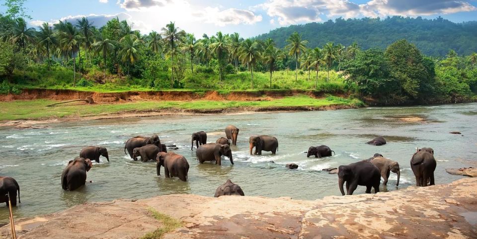 Colombo/Bentota/Kandy to Udawalawa National Park Safari Tour - Additional Facilities and Support