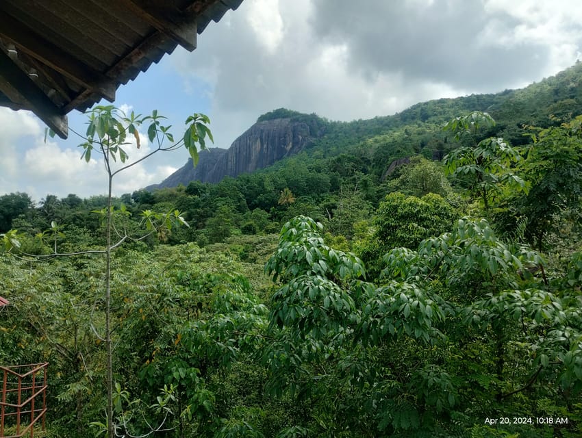 Colombo: Day Trip; Seethawaka Wet Zone Botanical Gardens - Local Snacks