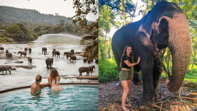 Colombo: Sigiriya, Dambulla, Kandy, Pinnawala 2 Day Tour - Tour Inclusions