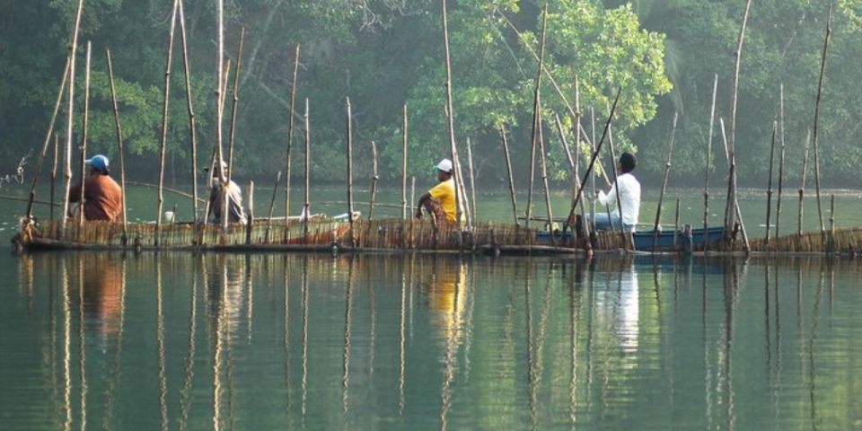 Complete River Fishing Adventure on Balapitiya River - Explore Balapitiya River