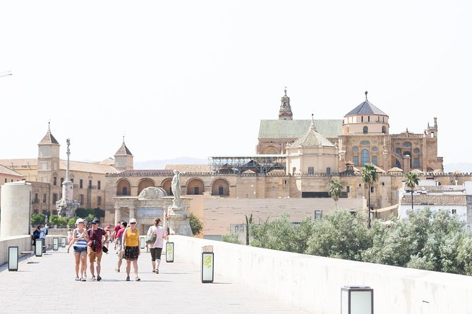Cordoba Full Day Trip With Mosque Entrance From Costa Del Sol - Accessibility and Availability
