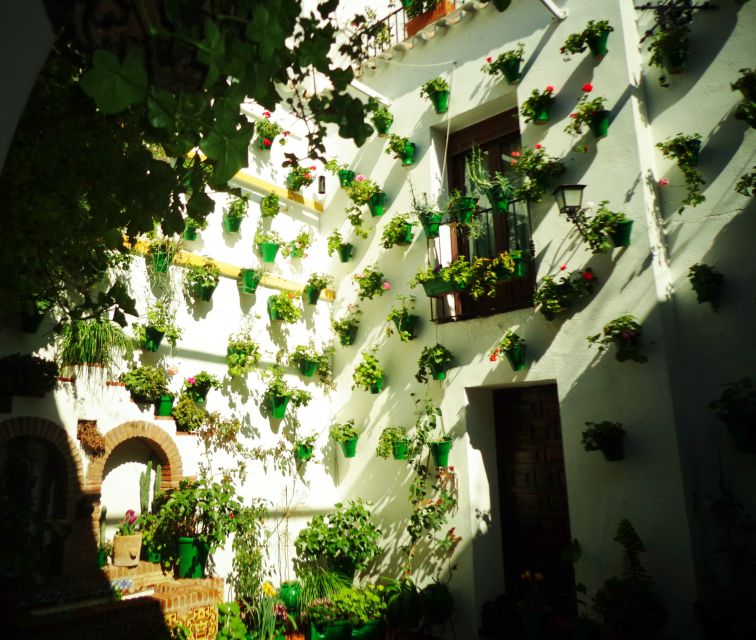 Cordobas Authentic Patios: 2-Hour Tour With Tickets - The Sum Up