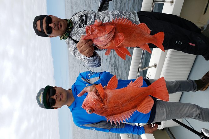 Coronado Islands 12 Hour Fishing Trip for up to 4 People - Sum Up