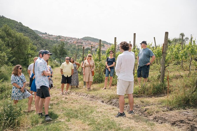 Cortecorbo Winery: Pizza Cooking Class, Lunch & Wine Tasting - Highlights From Customer Reviews