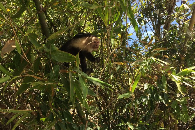 Costa Rican Wildlife: Palo Verde National Park Private Tour - Convenient Tour Logistics