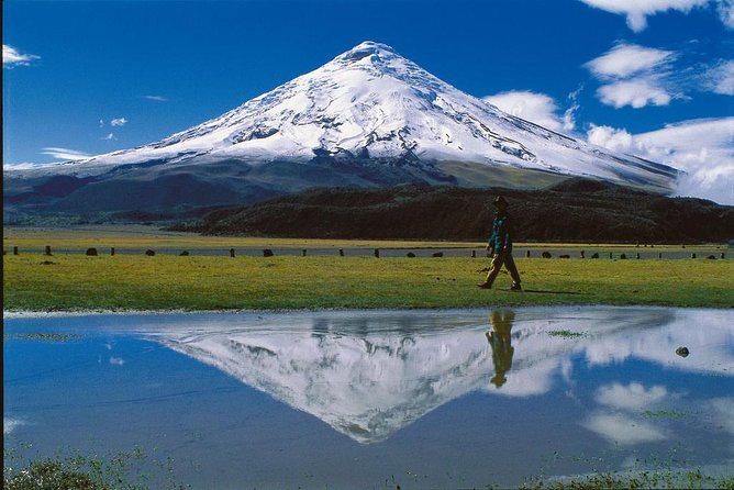 Cotopaxi Full Day Tour - Natural History Insights