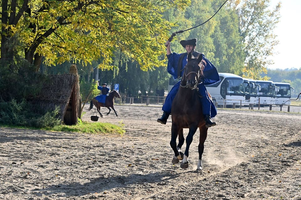 Countryside Ranch, Horse Show & Lunch - Customer Feedback