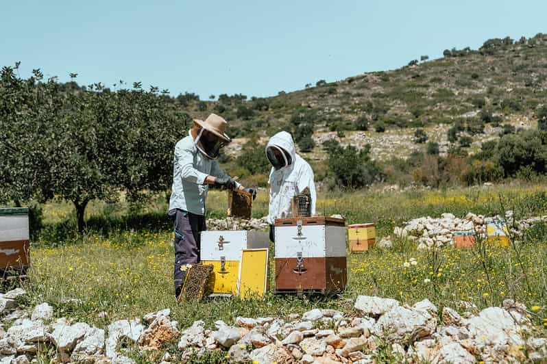 Crete: Melidoni Cave, Honey, Olive Oil & Reptisland - Suitability and Accessibility