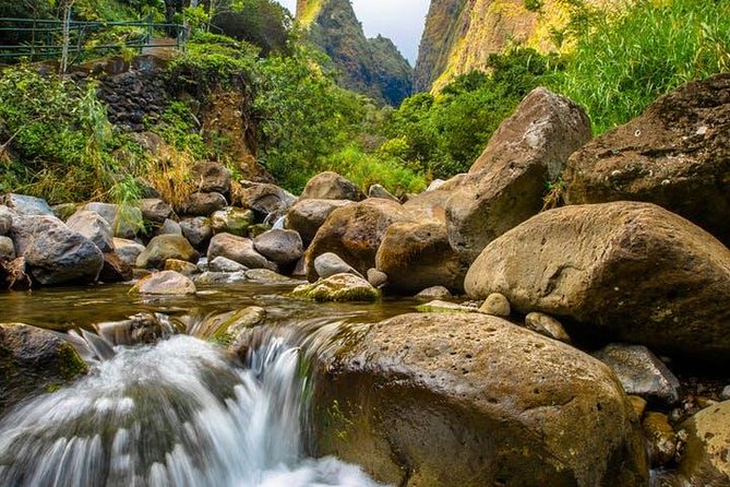 Cruise Ship Shore Excursion: Kahului Heavenly Hana Tour - Tips for Travelers