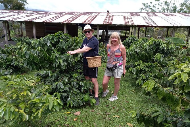 Cultural: Coffee & Chocolate Tour+Animal Sanctuary+Waterfall Swim - Lunch and Waterfall Swim