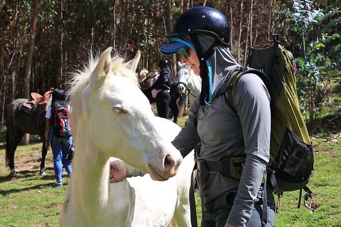 Cusco Day Tour Horse Riding Mystic Tour Full Service The Most Recommended - Guide Expertise