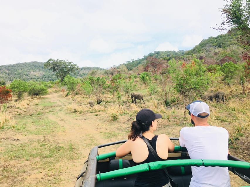 Dambulla/Sigiriya/Habarana: Minneriya National Park Safari - Park Regulations