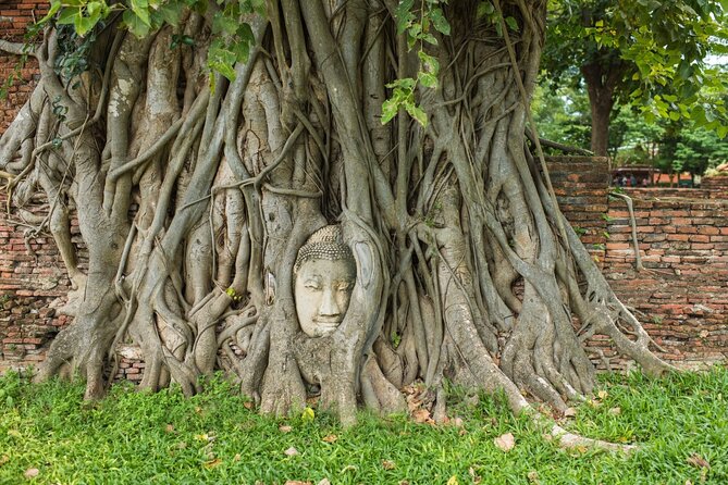 Damnoen Saduak Floating Market & Ayutthaya Tour From Bangkok - Customer Experiences and Feedback