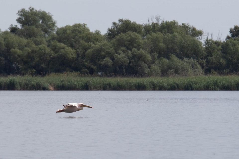 Danube Delta - 2-Day Tour From Bucharest - Inclusions and Accommodations