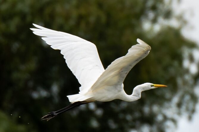 Danube Delta - Private Tour - Biosphere National Park - Cultural Experiences
