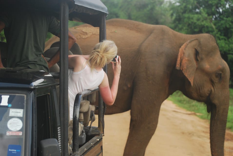 Day Safari From Hambantota - Luxury Jeep Features