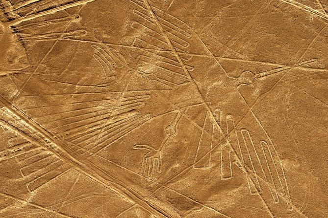 Day Tour Nazca Lines From Lima - Preparing for the Tour