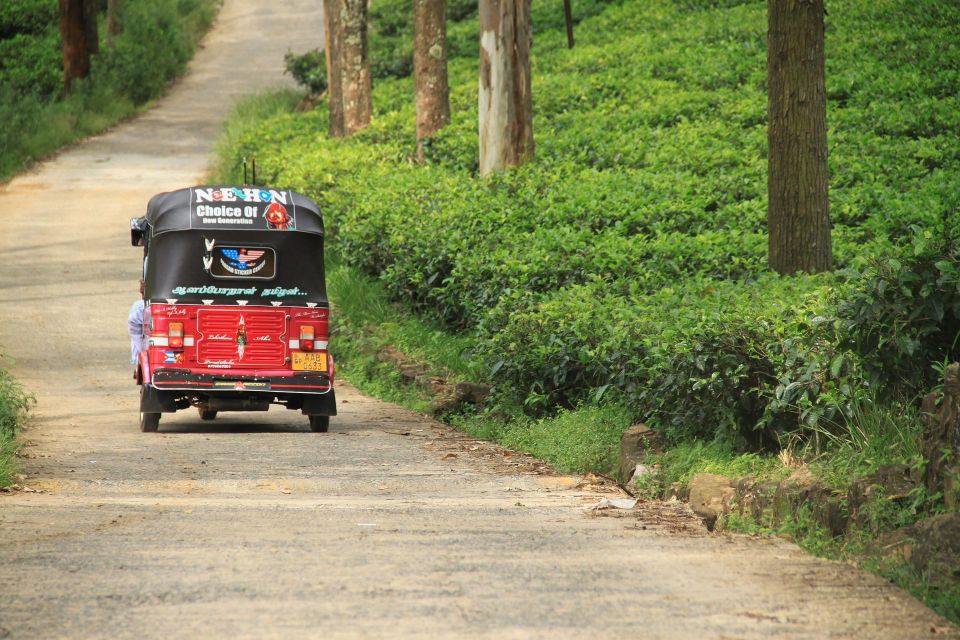 Day Tour of Kandy by Tuktuk With Free Lunch and Entry - Kandys Last Kingdom